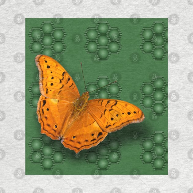 Beautiful orange butterfly on green pattern background by hereswendy